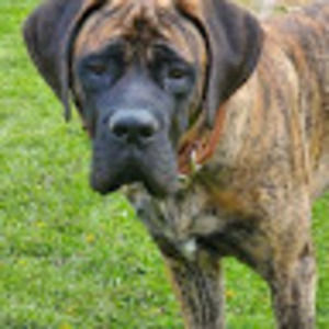 Meet your Posher, Josh